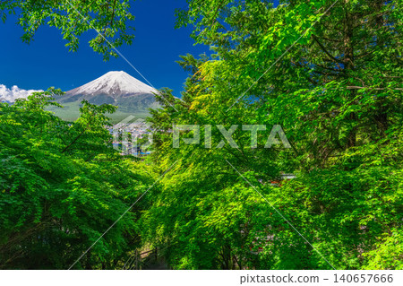 The view of Mount Fuji and the fresh greenery at Arakura Sengen Park is beautiful. The view of Mount Fuji and the fresh greenery at Arakura Sengen Park is beautiful. 140657666