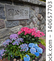 Hydrangeas at Hakone Gora Park add color to the rainy season. 140657703