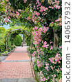 Rose Garden at Hakone Gora Park 140657932