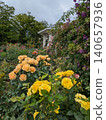 Rose Garden at Hakone Gora Park 140657936