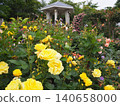 Rose Garden at Hakone Gora Park 140658000