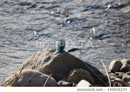翠鳥在水邊休息 翠鳥在水邊休息 140658224