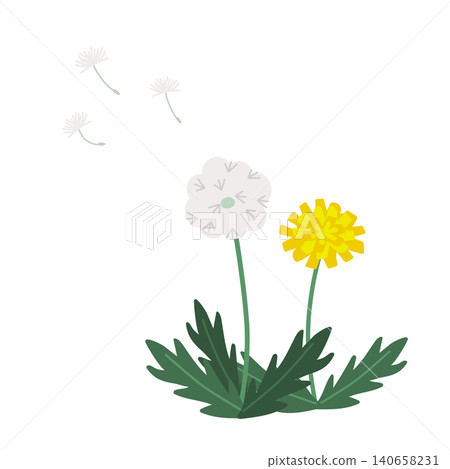 Dandelions to fly fluff Dandelions to fly fluff 140658231