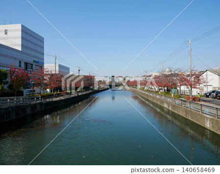 Shinkawa, Edogawa Ward, Autumn Leaves, November 2020 Shinkawa, Edogawa Ward, Autumn Leaves, November 2020 140658469