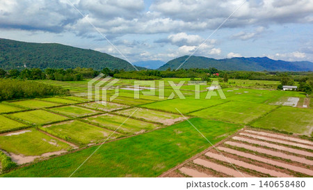 High angle view of green rice paddy fields grid layout in Thailand rural countryside. Beautiful agricultural landscape with mountain range background under cloudy sky during summer day High angle view of green rice paddy fields grid layout in Thailand rural countryside. Beautiful agricultural landscape with mountain range background under cloudy sky during summer day 140658480