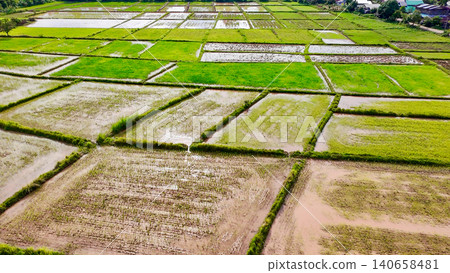 Elevated view of flooded rice paddy fields during planting season. Agricultural grid showing muddy soil texture, green crops, and traditional irrigation water system in Asian countryside 140658481