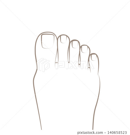 Line art illustration of the top of a foot for foot care, nail care, and coloring (right foot, vector) 140658523