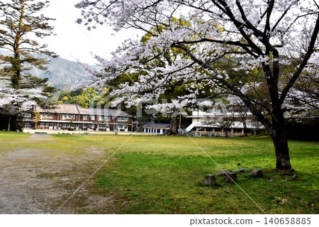 Plum blossom park and cherry blossoms in full bloom at Akizuki Castle Town (Akizuki Castle Ruins), Asakura City, Fukuoka Prefecture 140658885