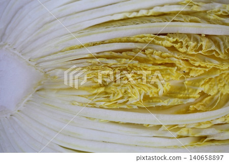 大白菜和其他蔬菜的橫斷面 140658897