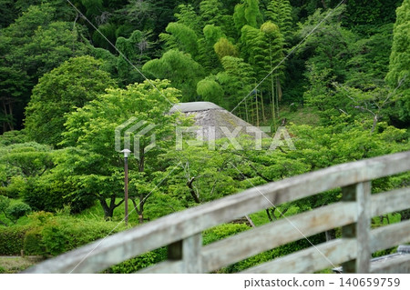 東京町田市藥鹿池公園的風景 東京町田市藥鹿池公園的風景 140659759