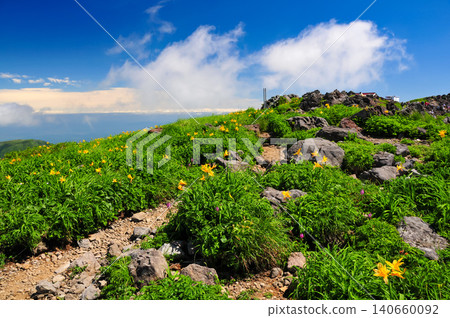 A clear summer mountain scene after the end of the rainy season, with the hiking trail leading to the Mihama Hut on Mt. Chokai, and daylilies blooming, and a sea of clouds in the background. A clear summer mountain scene after the end of the rainy season, with the hiking trail leading to the Mihama Hut on Mt. Chokai, and daylilies blooming, and a sea of clouds in the background. 140660092