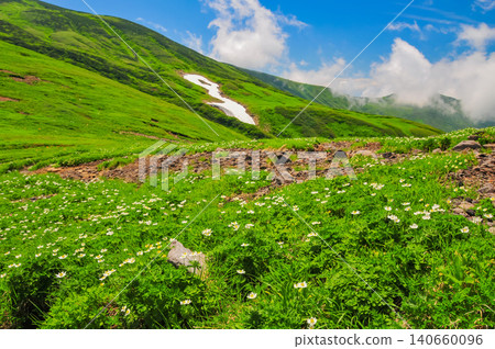 雨季結束後,天空晴朗湛藍,雲層緩緩升起,鳥海山的山坡綠意盎然,殘雪尚存。 雨季結束後,天空晴朗湛藍,雲層緩緩升起,鳥海山的山坡綠意盎然,殘雪尚存。 140660096