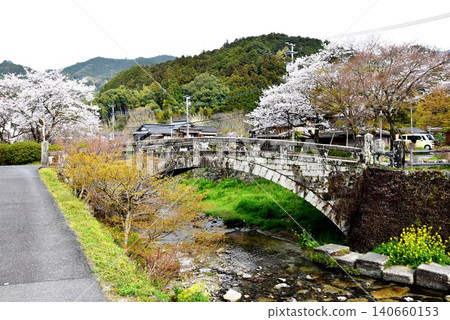 Akizuki Castle Town (Akizuki Castle Ruins), Asakura City, Fukuoka Prefecture: Meganebashi Bridge over the Notorigawa River and cherry blossoms in full bloom. Akizuki Castle Town (Akizuki Castle Ruins), Asakura City, Fukuoka Prefecture: Meganebashi Bridge over the Notorigawa River and cherry blossoms in full bloom. 140660153