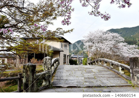 Akizuki Castle Town (Akizuki Castle Ruins), Asakura City, Fukuoka Prefecture: Meganebashi Bridge over the Notorigawa River and cherry blossoms in full bloom. Akizuki Castle Town (Akizuki Castle Ruins), Asakura City, Fukuoka Prefecture: Meganebashi Bridge over the Notorigawa River and cherry blossoms in full bloom. 140660154