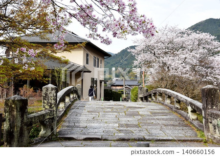 福岡縣朝倉市秋月城下町(秋月城遺址):目鳥川上的眼鏡橋和盛開的櫻花。 福岡縣朝倉市秋月城下町(秋月城遺址):目鳥川上的眼鏡橋和盛開的櫻花。 140660156