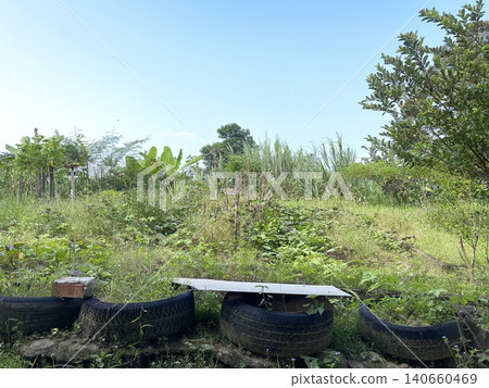 Neglected Rural House Garden With Overgrown Grass And Tires 140660469