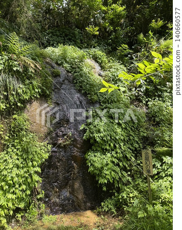 吳葉山山區的瀑布（富山縣富山市；攝於五月） 140660577
