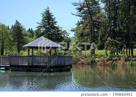 The ancient castle marsh, a gazebo on the lake The ancient castle marsh, a gazebo on the lake 140660981