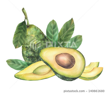 Watercolor Avocado. Realistic whole fruit, halves with seed, slices and leaves. Hand drawn realistic illustration on isolated white background. Clipart for food design, cosmetic, menu, vegan recipes Watercolor Avocado. Realistic whole fruit, halves with seed, slices and leaves. Hand drawn realistic illustration on isolated white background. Clipart for food design, cosmetic, menu, vegan recipes 140661680