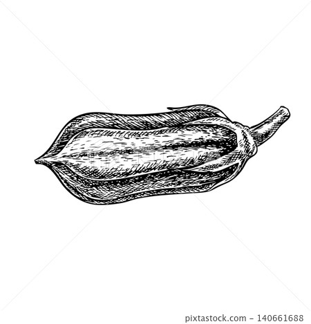 Sesame pod. Black and white vector graphics. Hand-drawn illustration. On a white background. Perfect for creating product labels, posters, banners, menus, and more. Sesame pod. Black and white vector graphics. Hand-drawn illustration. On a white background. Perfect for creating product labels, posters, banners, menus, and more. 140661688