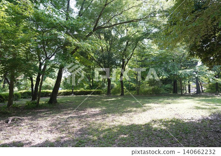 多摩地區的都立公園小宮公園 多摩地區的都立公園小宮公園 140662232