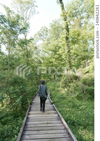 多摩地區的都立公園小宮公園 多摩地區的都立公園小宮公園 140662261