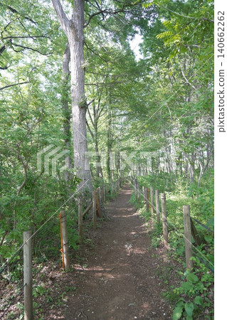 多摩地區的都立公園小宮公園 多摩地區的都立公園小宮公園 140662262