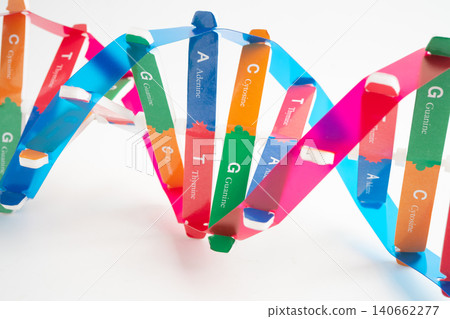 DNA or Deoxyribonucleic acid is a double helix chains structure formed by base pairs attached to a sugar phosphate backbone. 140662277