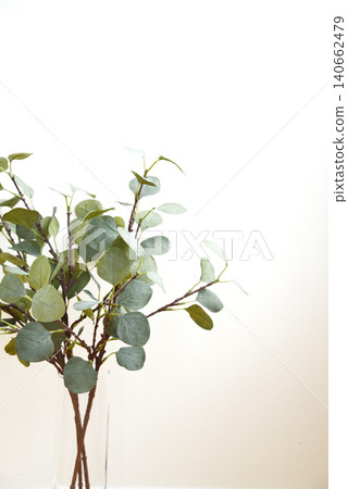 A eucalyptus vase against a white wall: A simple and stylish plant interior photo. A eucalyptus vase against a white wall: A simple and stylish plant interior photo. 140662479