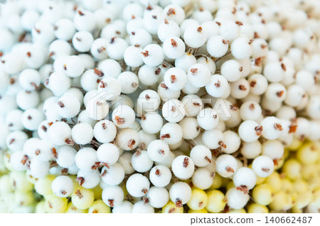 wedding decor. candle and artificial sugar berries. snow bush berries wedding decor. candle and artificial sugar berries. snow bush berries 140662487