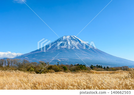 Susukihara和富士山在Asagirikogen Susukihara和富士山在Asagirikogen 140662503