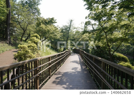 Fujimori Park, the oldest comprehensive park in Hachioji City, opened in 1896. Fujimori Park, the oldest comprehensive park in Hachioji City, opened in 1896. 140662658