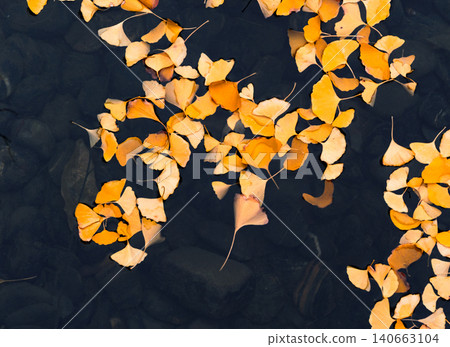 Golden leaves float on water surface in autumn displaying nature's changes and the cycle of seasons in a still moment Golden leaves float on water surface in autumn displaying nature's changes and the cycle of seasons in a still moment 140663104