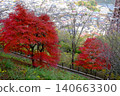 [Kanagawa Prefecture] A walking path through autumn foliage 140663300