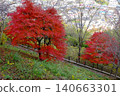 [Kanagawa Prefecture] Scenery with autumn leaves 140663301