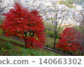 [Kanagawa Prefecture] Walking trails in Tsukui Lake Shiroyama Park surrounded by autumn leaves 140663302