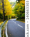 [Kanagawa Prefecture] A row of ginkgo trees with autumn leaves 140663303