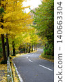[Kanagawa Prefecture] Autumn foliage along a tree-lined street 140663304
