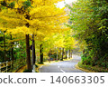 [Kanagawa Prefecture] A road lined with ginkgo trees 140663305