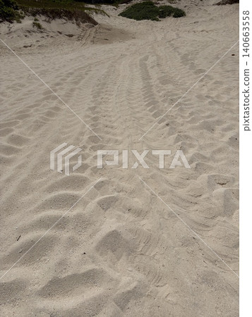 Traces of green sea turtles coming ashore to lay eggs. 140663558