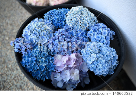 藍色繡球花手水 藍色繡球花手水 140663582