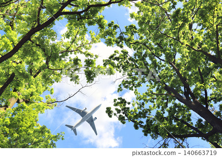 Looking up at the green forest and plane. Oak trees and aircraft against a blue sky background. Gazing at verdant woodland. View Oaks from below, fresh green leaves. Traveling the world concept 140663719
