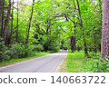 Picturesque landscape road in forest in sunny day. Tourists on bicycles in Belovezhskaya Pushcha Nature Reserve. Group of sportive man cycling in woodland of national park Bialowieza Forest, Europe 140663722