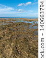 A clear blue sky and a shallow beach with tide pools still remaining. 140663794