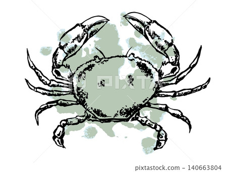 Engraved crab with a mint stain. Vector illustration for restaurant menus and textile design. Engraved crab with a mint stain. Vector illustration for restaurant menus and textile design. 140663804