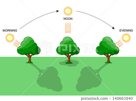 Shadow of tree throughout the day. Sun position Shadow of tree throughout the day. Sun position 140663840