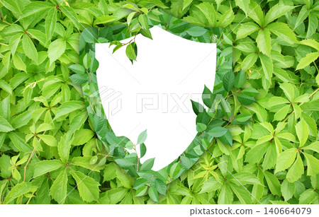 Horizontal tree bark background with shield made from green leaves. Safety, global ecological resource, go green concept. Environmental conservation, wildlife protection, Eco-friendly, Green energy 140664079