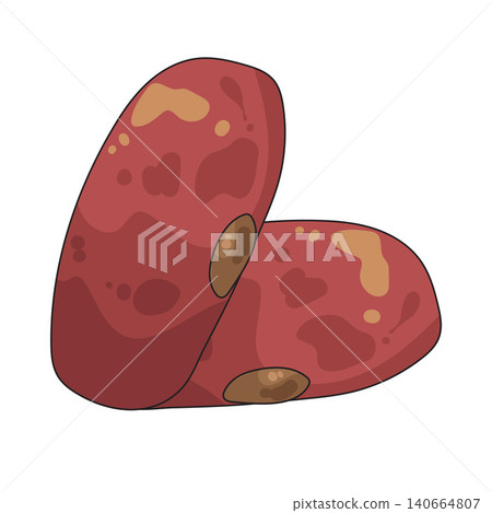 Illustration of Kidney beans 140664807