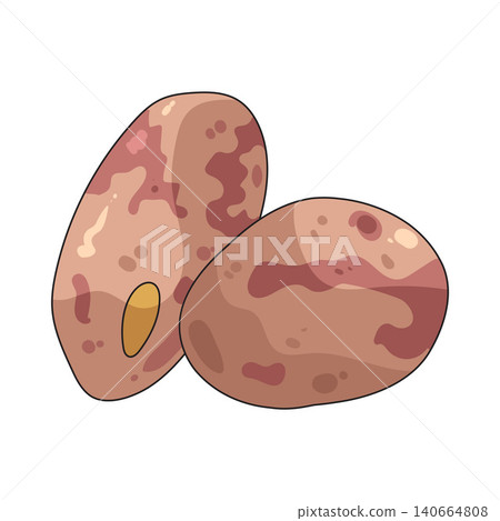 Illustration of Pinto beans Illustration of Pinto beans 140664808