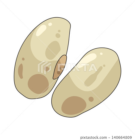 Illustration of Navy beans Illustration of Navy beans 140664809